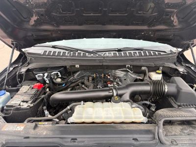 2024 Ford Expedition - Photo 22