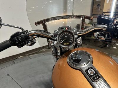 2008 Harley-Davidson XL 1200L - Sportster 1200 Low 105th Anniversary Edition - Photo 11
