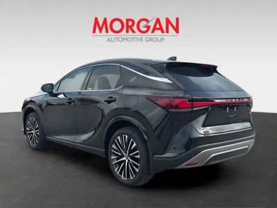 2026 Lexus RX — detail view
