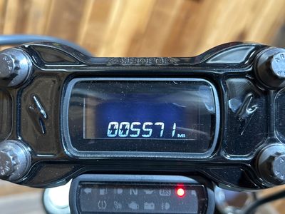 2021 Harley-Davidson Street Bob 114 - Photo 10