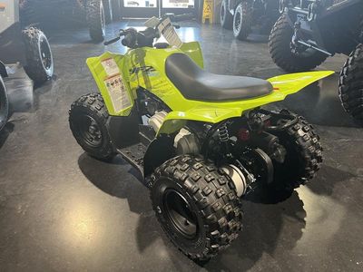 2026 Yamaha Raptor 110 - Photo 5