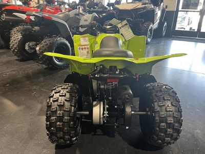 2026 Yamaha Raptor 110 - Photo 7