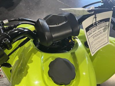 2026 Yamaha Raptor 110 - Photo 11
