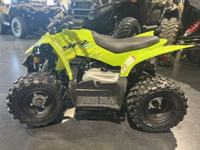 2026 Yamaha Raptor 110 - Photo 8