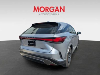 2024 Lexus RX — detail view
