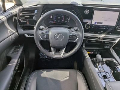 2024 Lexus RX — photo 13 view