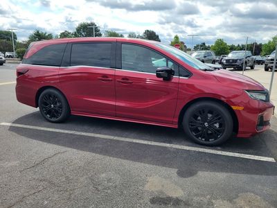 2026 Honda Odyssey Sport-L Auto — rear three-quarter view