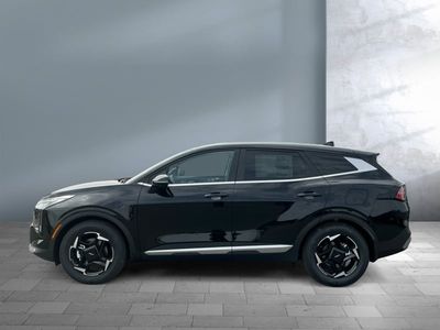 2026 Kia Sportage — rear three-quarter view