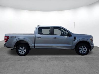 2021 Ford F-150 — interior view