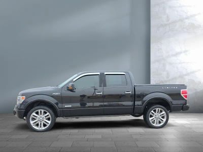 2013 Ford F-150 — rear three-quarter view
