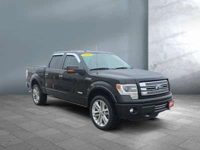 2013 Ford F-150 — photo 8 view