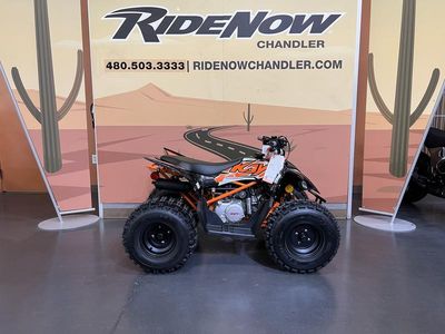 2025 Kayo Predator 125 EFI - Photo 5
