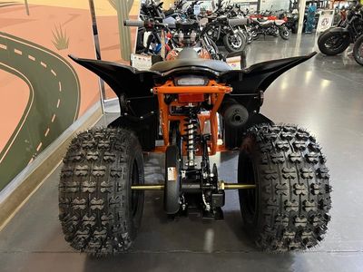 2025 Kayo Predator 125 EFI - Photo 4