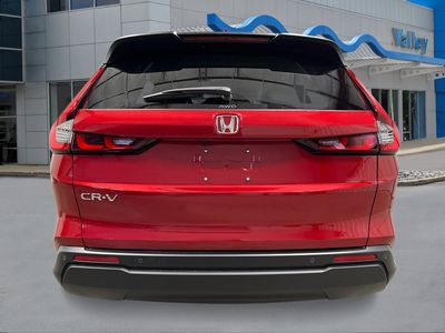 2026 Honda CR-V - Photo 4
