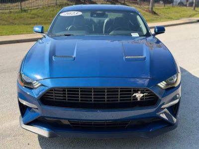 2023 Ford Mustang - Photo 3