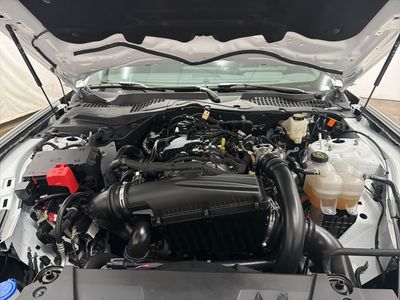2025 Ford Mustang - Photo 24