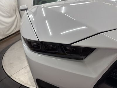 2025 Ford Mustang - Photo 10