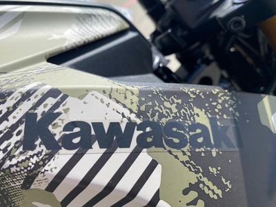 2025 Kawasaki Z125 PRO Cypher Camo Beige - Photo 12