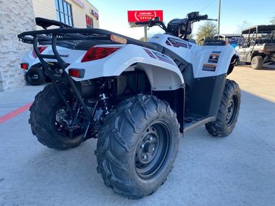 2025 Kawasaki Brute Force 450 4x4 - Photo 5