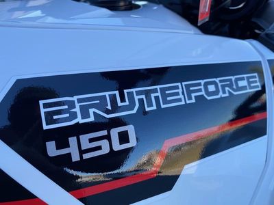 2025 Kawasaki Brute Force 450 4x4 - Photo 13
