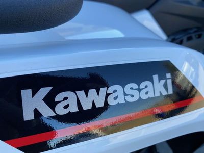 2025 Kawasaki Brute Force 450 4x4 - Photo 12