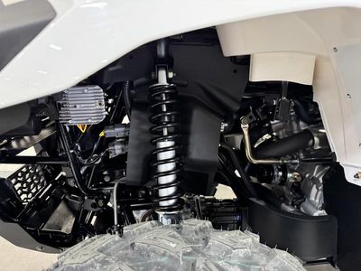 2025 Kawasaki Brute Force 450 4x4 - Photo 18