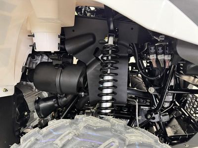 2025 Kawasaki Brute Force 450 4x4 - Photo 14