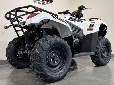 2025 Kawasaki Brute Force 450 4x4 - Photo 3