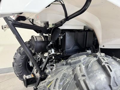 2025 Kawasaki Brute Force 450 4x4 - Photo 10