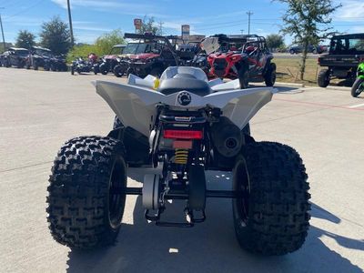 2026 Can-Am Renegade 110 EFI - Photo 6