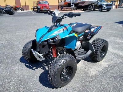 2026 Can-Am Renegade 110 EFI - Photo 6