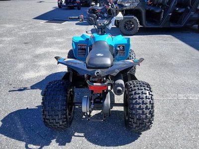 2026 Can-Am Renegade 110 EFI - Photo 7