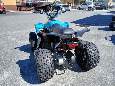 2026 Can-Am Renegade 110 EFI - Photo 8