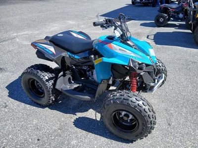 2026 Can-Am Renegade 110 EFI - Photo 4