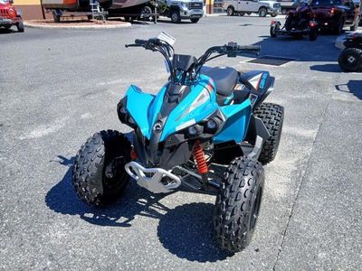 2026 Can-Am Renegade 110 EFI - Photo 5