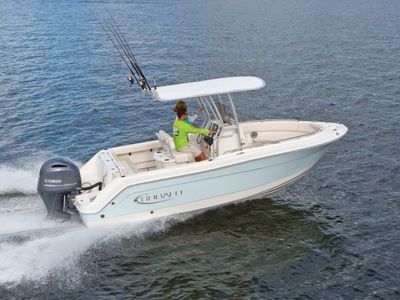 2021 Robalo R222 - Photo 1