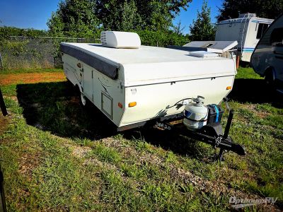 2008 Palomino Yearling — front three-quarter view