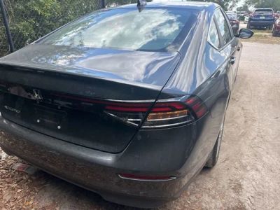 2025 Honda Accord — photo 14 view