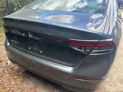 2025 Honda Accord — photo 13 view