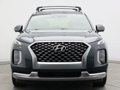 2022 Hyundai Palisade — side profile view
