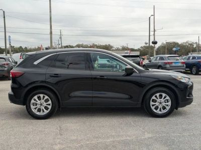 2024 Ford Escape - Photo 6