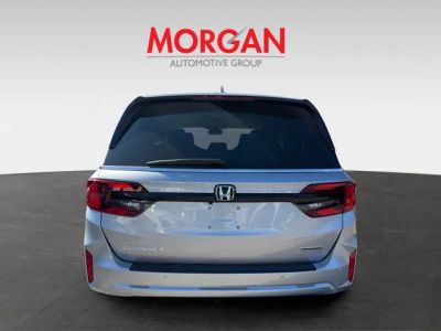 2026 Honda Odyssey — detail view