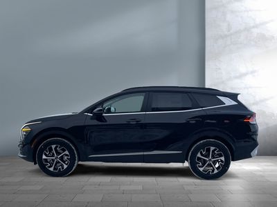 2025 Kia Sportage — rear three-quarter view