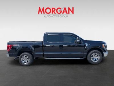 2021 Ford F-150 — rear three-quarter view