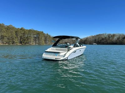 2025 Cobalt WHT 250 VDO - Photo 5