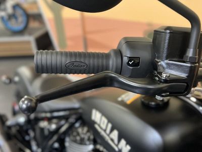 2025 Indian Motorcycle Chief Dark Horse Black Smoke - Photo 14