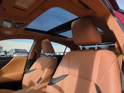 2025 Lexus ES - Photo 10