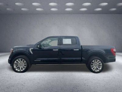 2023 Ford F-150 — rear three-quarter view