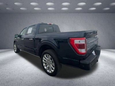 2023 Ford F-150 — interior view