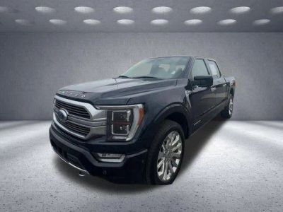 2023 Ford F-150 — side profile view